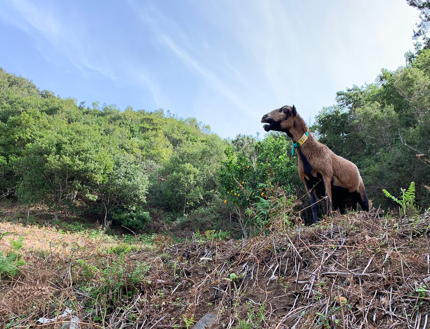 Las Carboneras a Chinamada #5