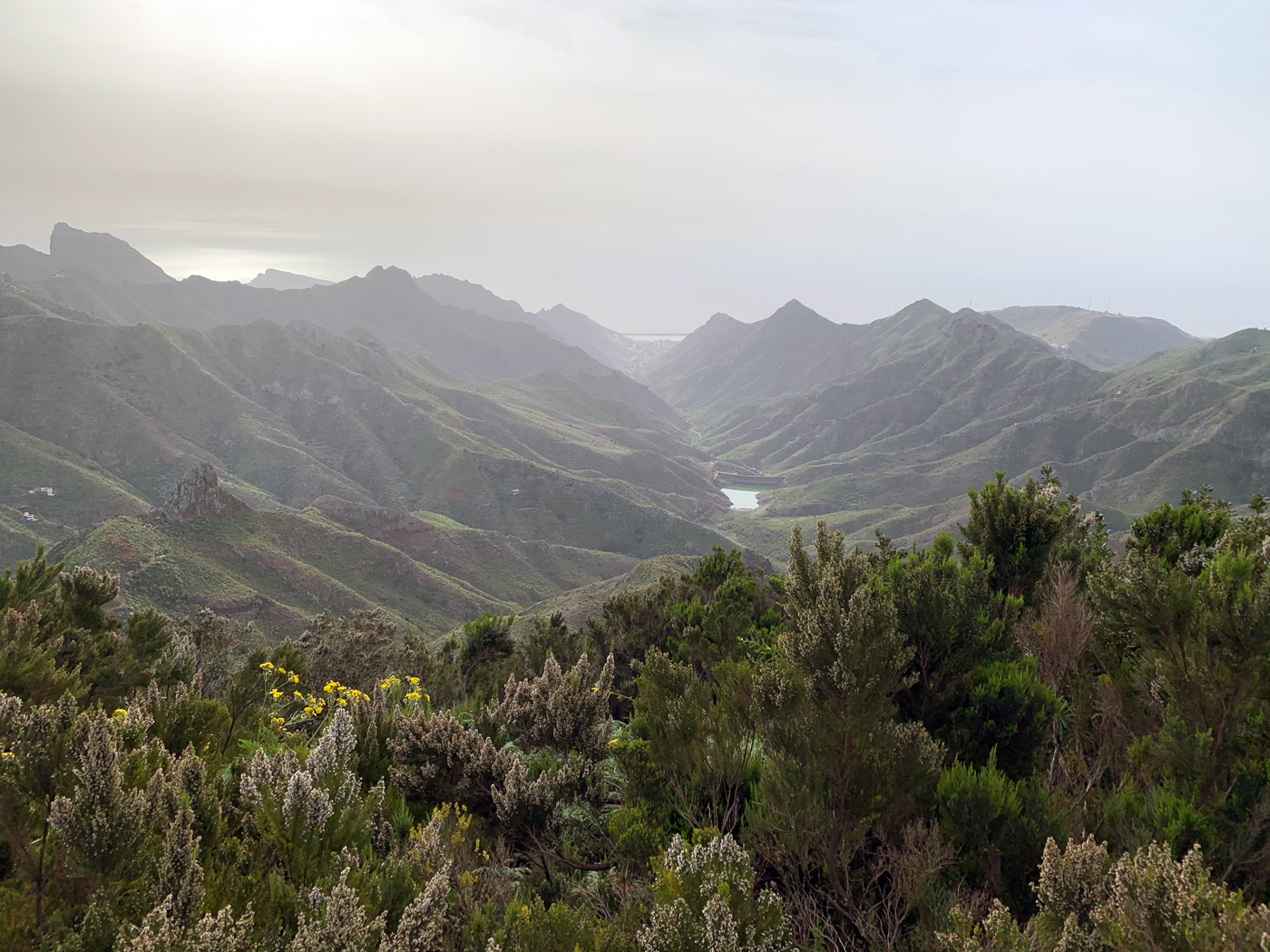 Mirador del Llano de los Loros #2