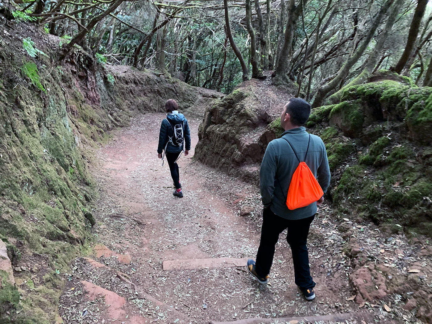 Sendero de los Sentidos #2