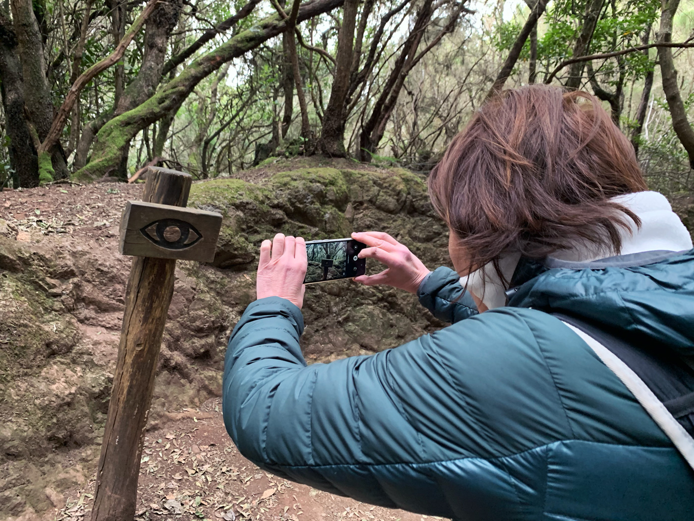 Sendero de los Sentidos #3