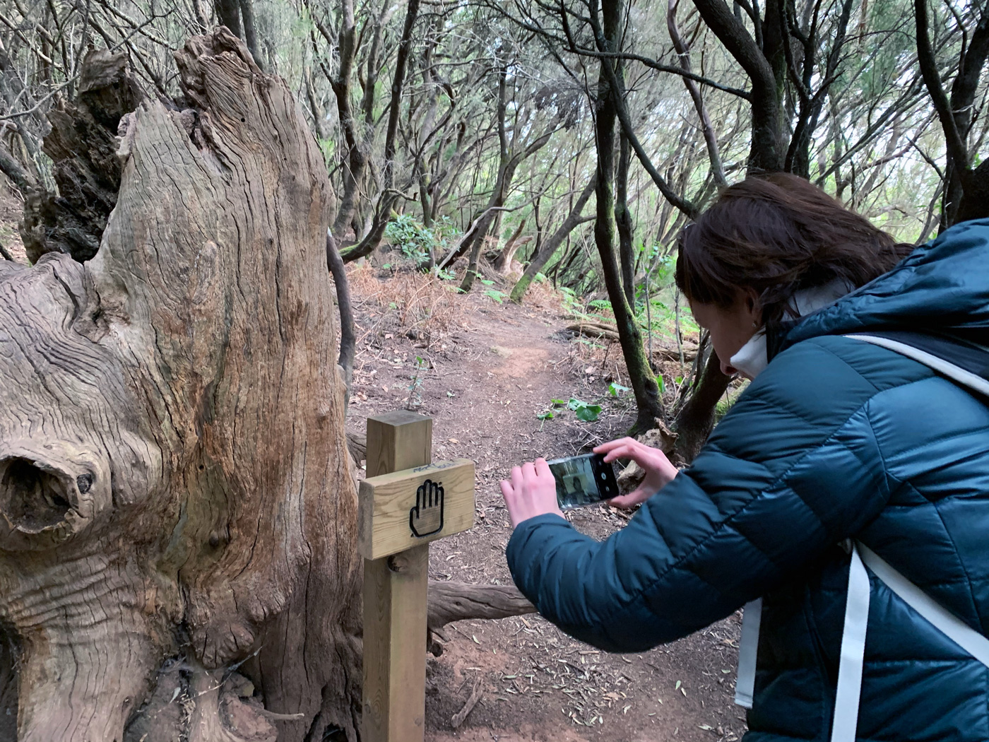 Sendero de los Sentidos #4