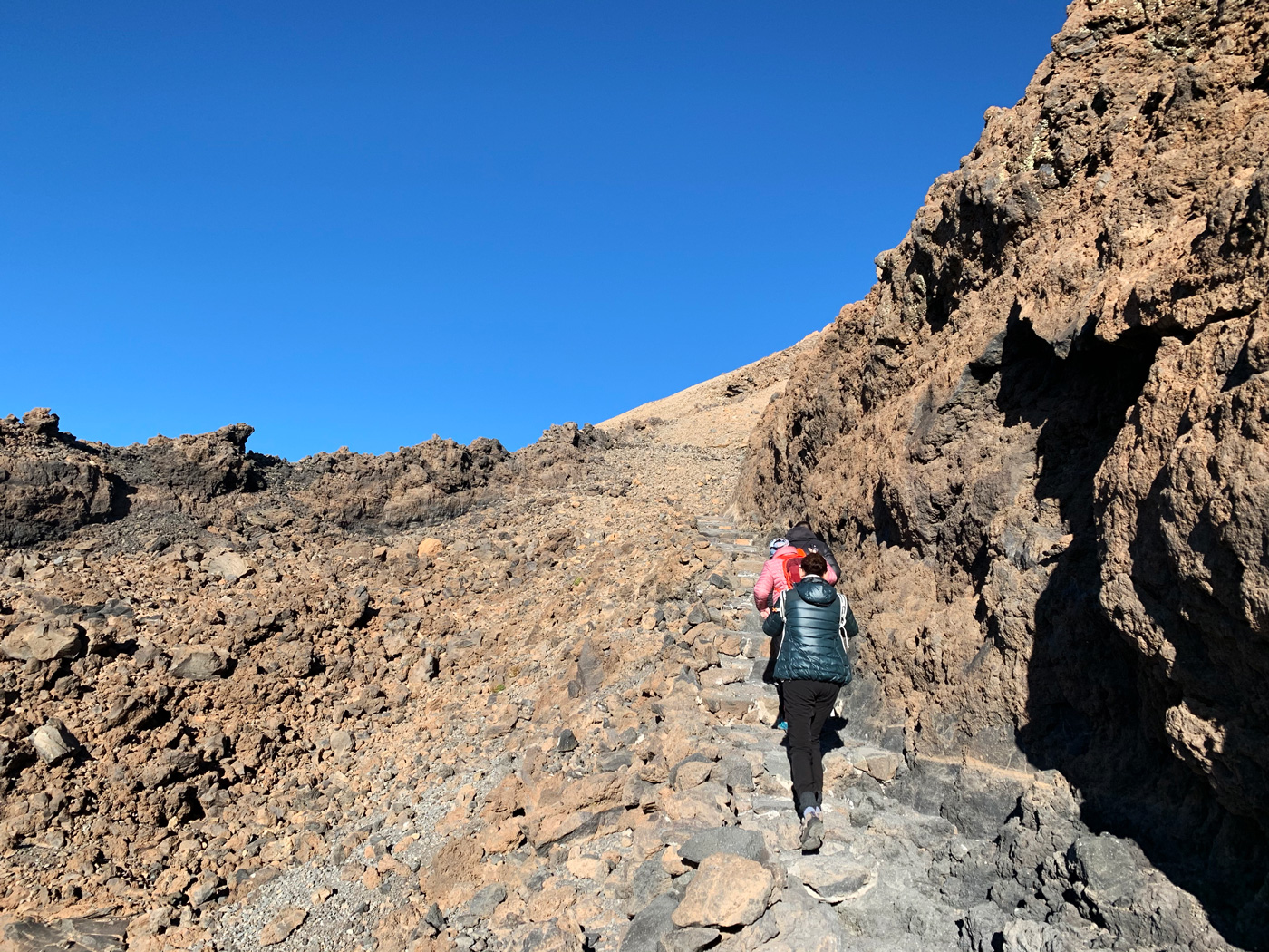 Sendero Telesforo Bravo #1