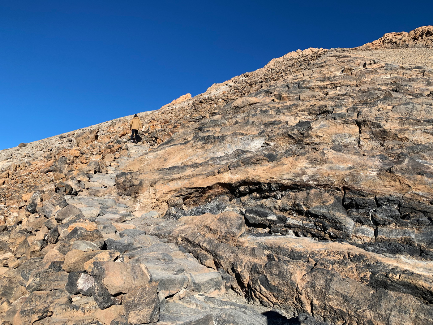 Sendero Telesforo Bravo #2